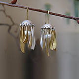 Ohrschmuck: Silber, Gold, Perle