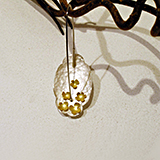 Ohrschmuck: Silber, Gold, Edelstahl