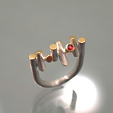 Ring: Silber, Gold, Rubin